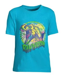 Boys 2-20 Lands' End Novelty Graphic Tee