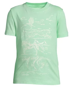 Boys 2-20 Lands' End Relaxed Short Sleeve Crewneck Tee in Regular & Husky